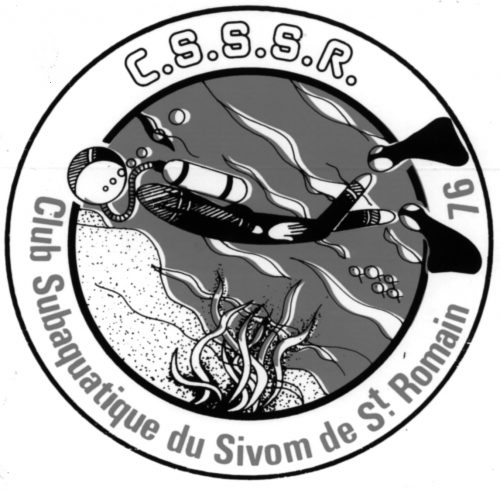 Logo du CSSSR ; ancien nom du H3CSR